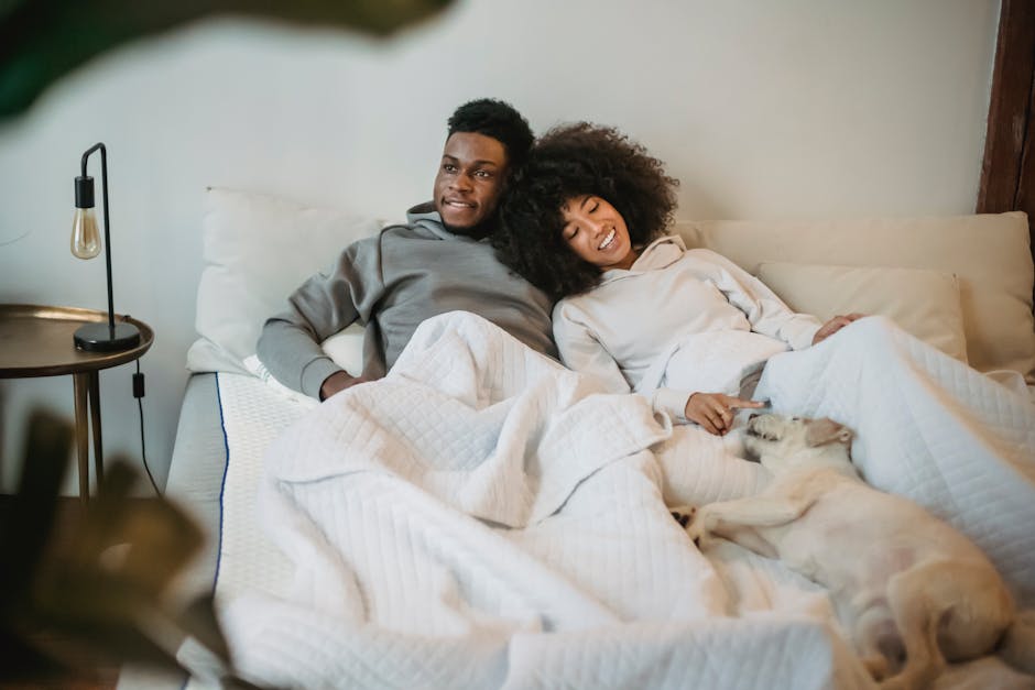 Enamored young positive African American couple in casual clothes hugging while lying in cozy bed with cute loyal dog