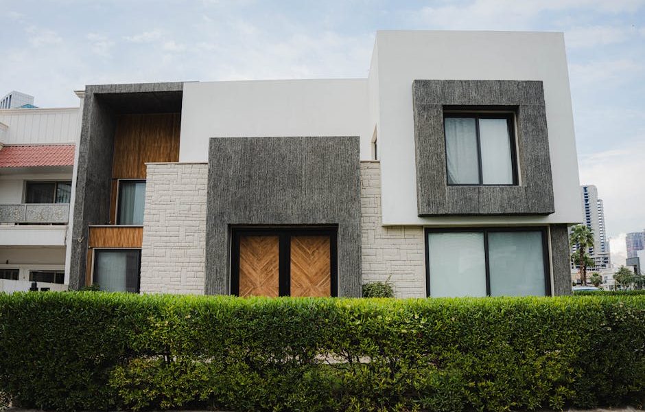 The Best Vacuum Cleaners for a Spotless Home