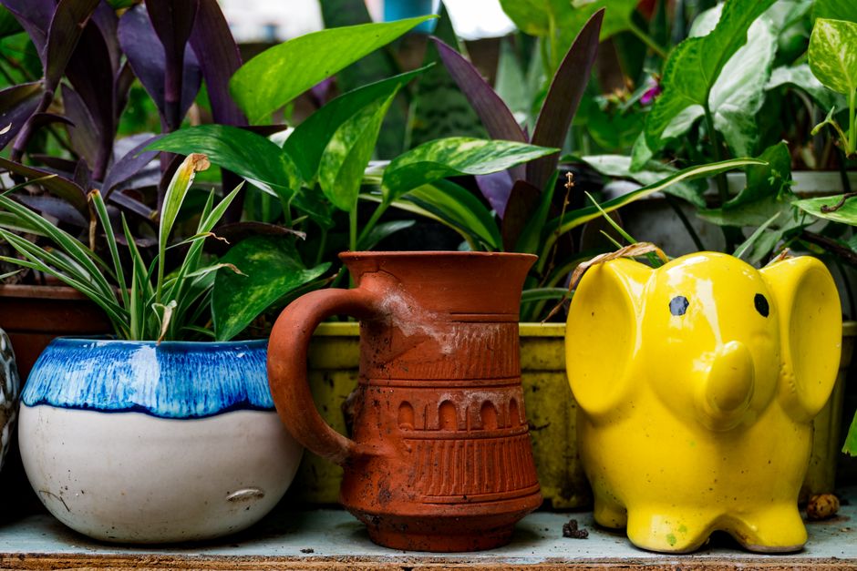 Vibrant indoor garden with eclectic planters including a yellow elephant and terracotta mug.
