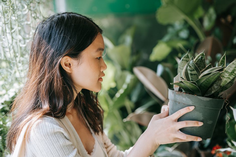 An Asian woman with black hair holds a potted succulent plant outdoors, surrounded by greenery.