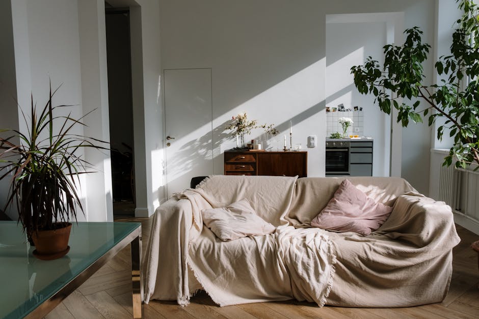 Sunlit cozy apartment with sofa plants and flexible living room furniture
