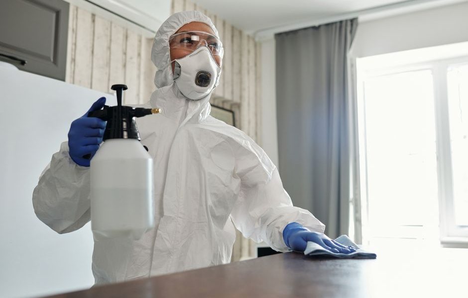What 12 Years of Home Inspections Taught Me About Hiring a Pest Control Company