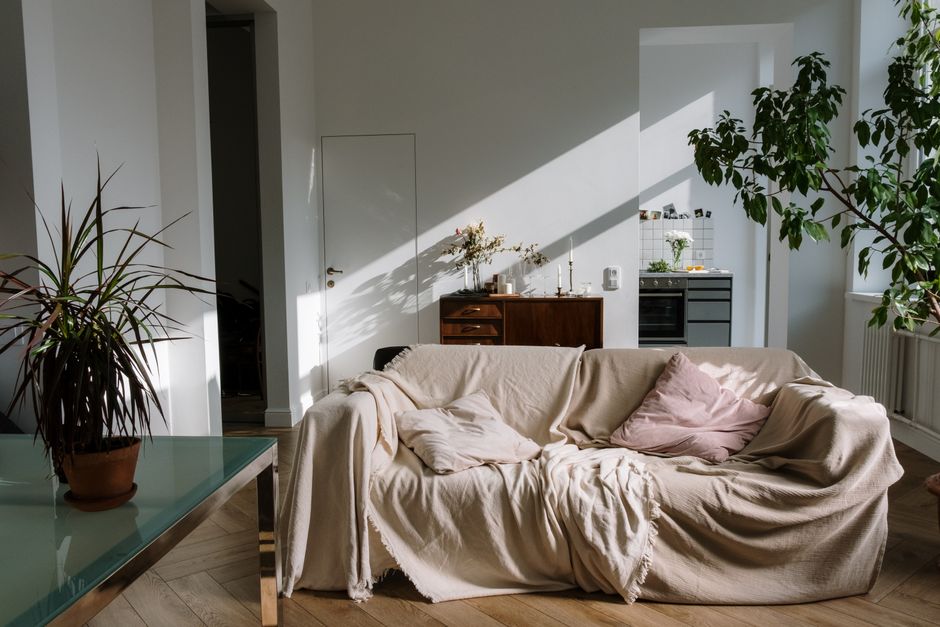 Sunlit cozy apartment interior featuring a comfortable beige-covered sofa, potted plants, and warm decor.