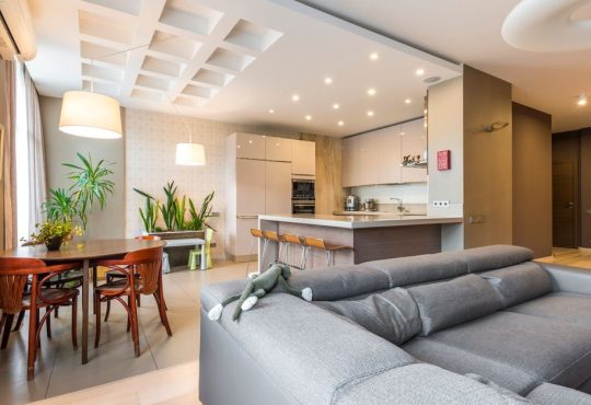 Open-Plan Living Color Palettes That Work