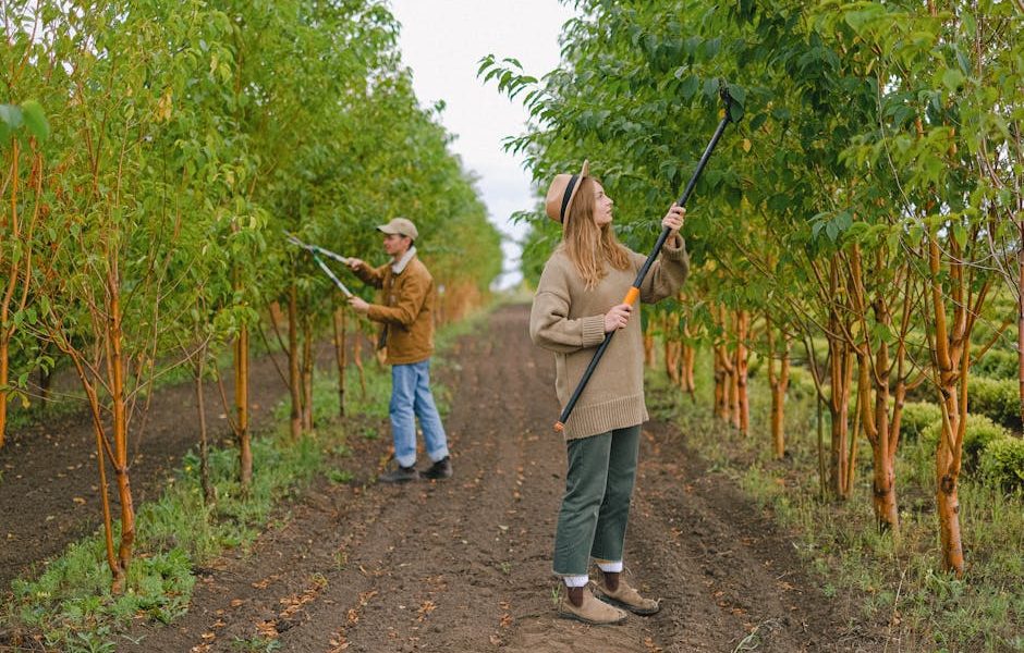 VEVOR Electric Bud Leaf Trimmer vs Manual Hand Pruning: Which Harvesting Method Scales Better in 2026?