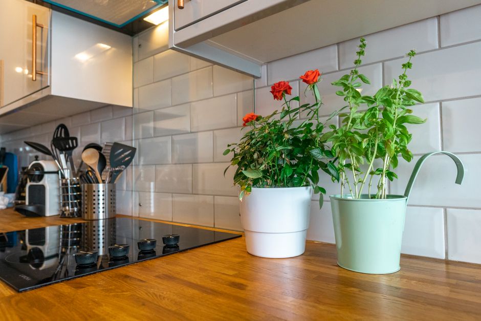 A modern kitchen counter with flower pots and essential cooking utensils, creating a fresh and inviting space.