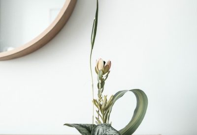 Does Your Living Room Feel A Little Bland?
