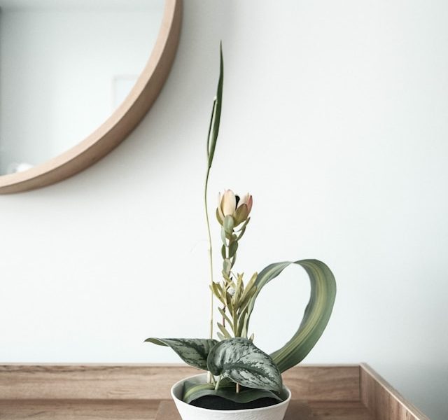 Does Your Living Room Feel A Little Bland? Does Your Living Room Feel A Little Bland?